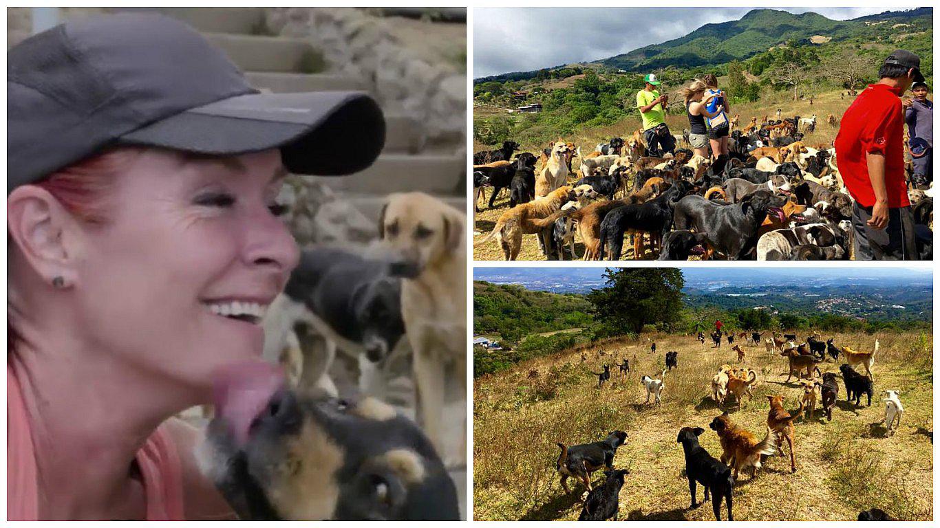 Lya Battle, la mujer conocida como la guardiana de los 700 perros (VIDEO)