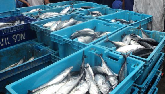 Economía peruana: Sector pesquero busca reactivarse