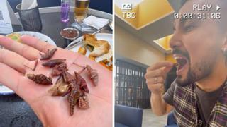 Cantante Ezio Oliva sorprende al comer insectos en México: “Sabe rico” (VIDEO)