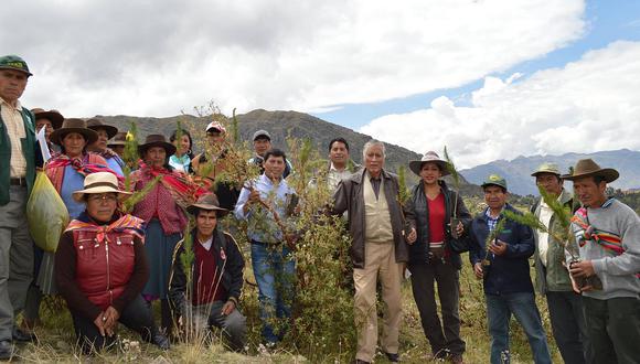 Campaña de fortestación en el 'Apu Anccara' - Cusco