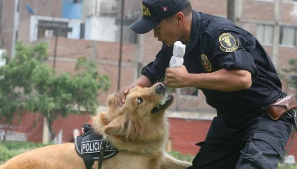 Perro adiestrado - Foto referencial de Andina