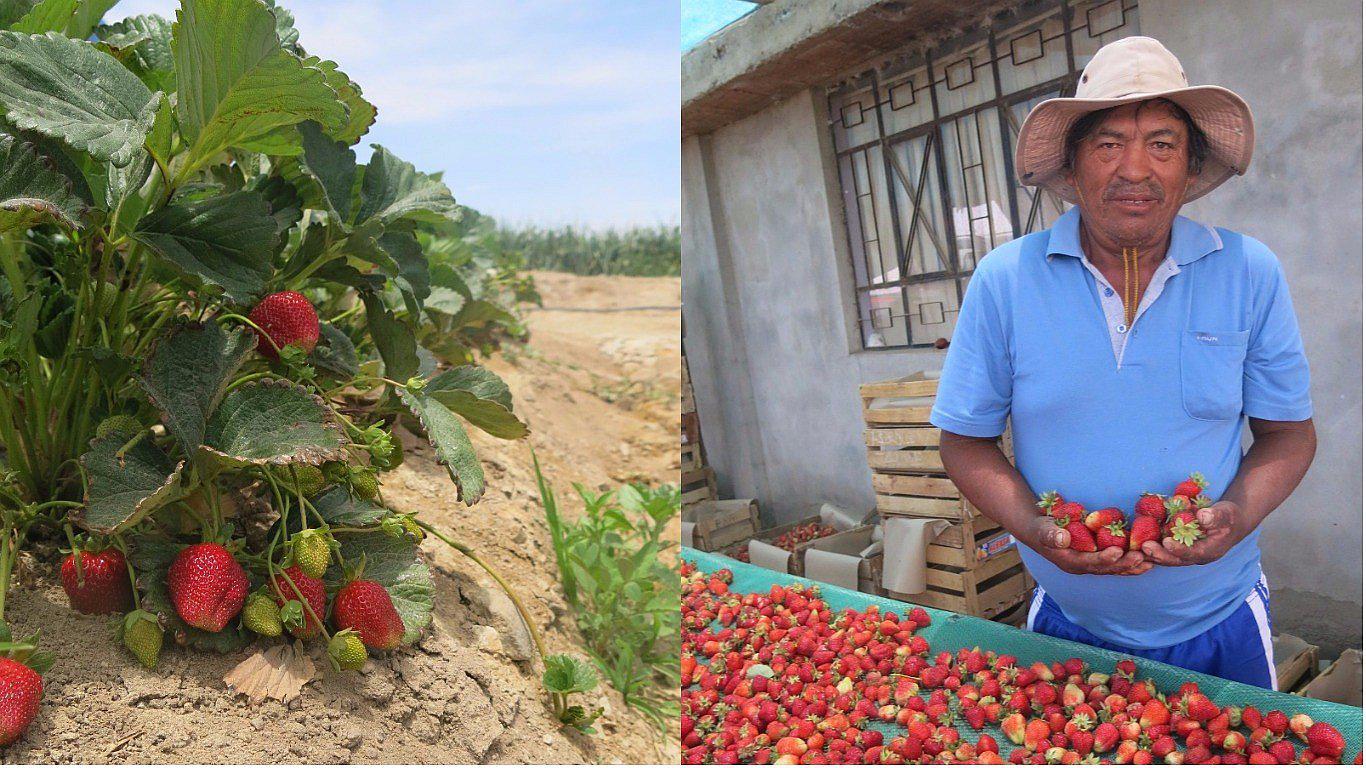 Atreverse a cambiar le dio una oportunidad de mejorar a Eleuterio Torres