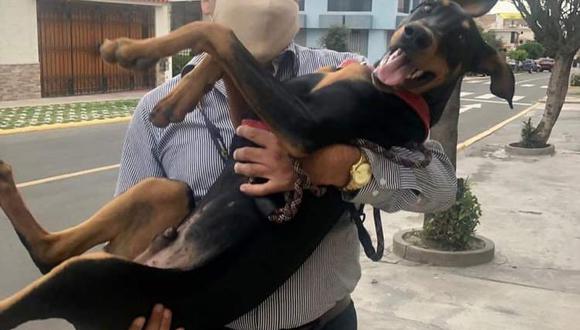 El alcalde de Arequipa Víctor Hugo Rivera con una de sus mascotas