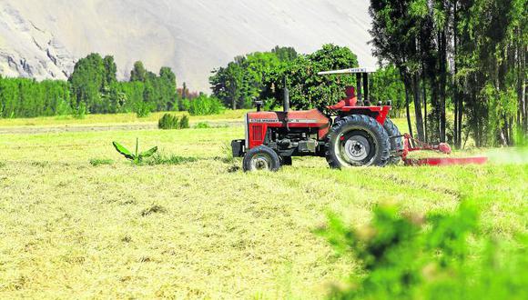 Islay: Por falta de maquinarias pierden 7 mil 200 toneladas de arroz
