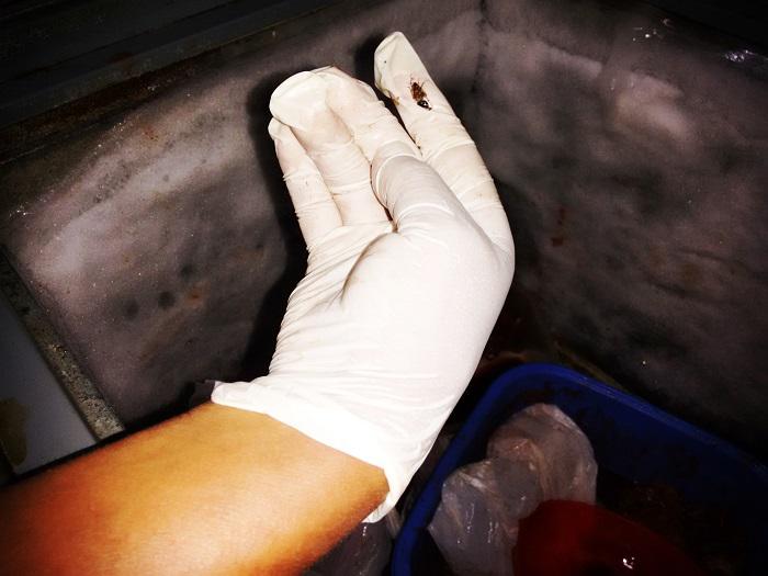 Es importante escoger un lugar salubre para comer. (Fotos)