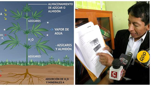 Ponen como ejemplo planta de marihuana en examen rendido por 20 mil alumnos