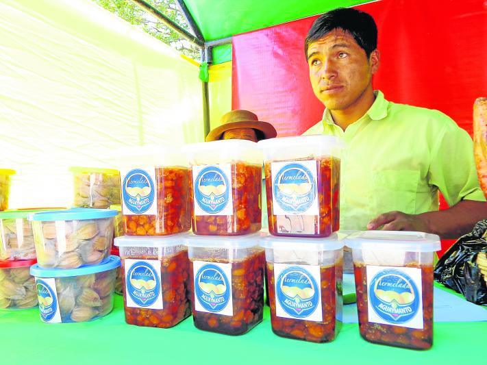 Huánuco tiene 20309 empresas produciendo