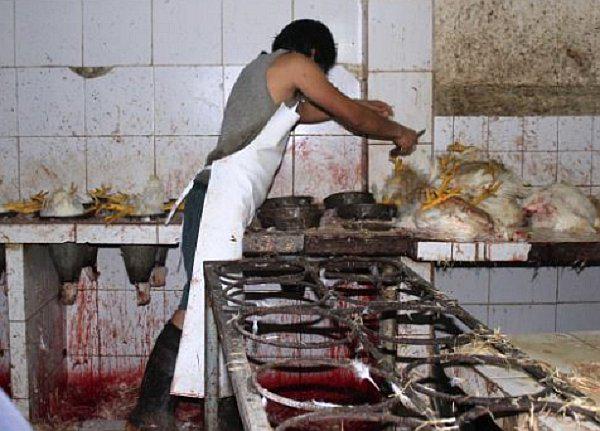 ​Villa María del Triunfo: Fiscalía cierra avícolas insalubres