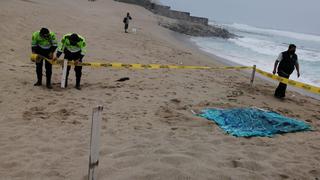 Hallan cadáver en Punta Hermosa y podría ser de uno de los extranjeros desaparecidos con avioneta 