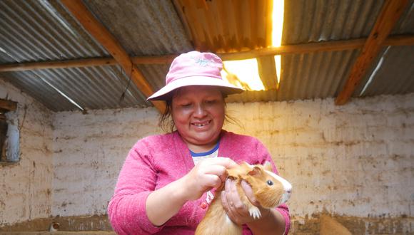 Pobladora del distrito de Pamparomás cuenta con un galpón de cuyes, donde realiza una crianza tecnificada.