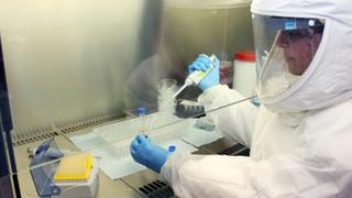 Argentina desarrolla método para diagnosticar el ébola en menos de 24 horas