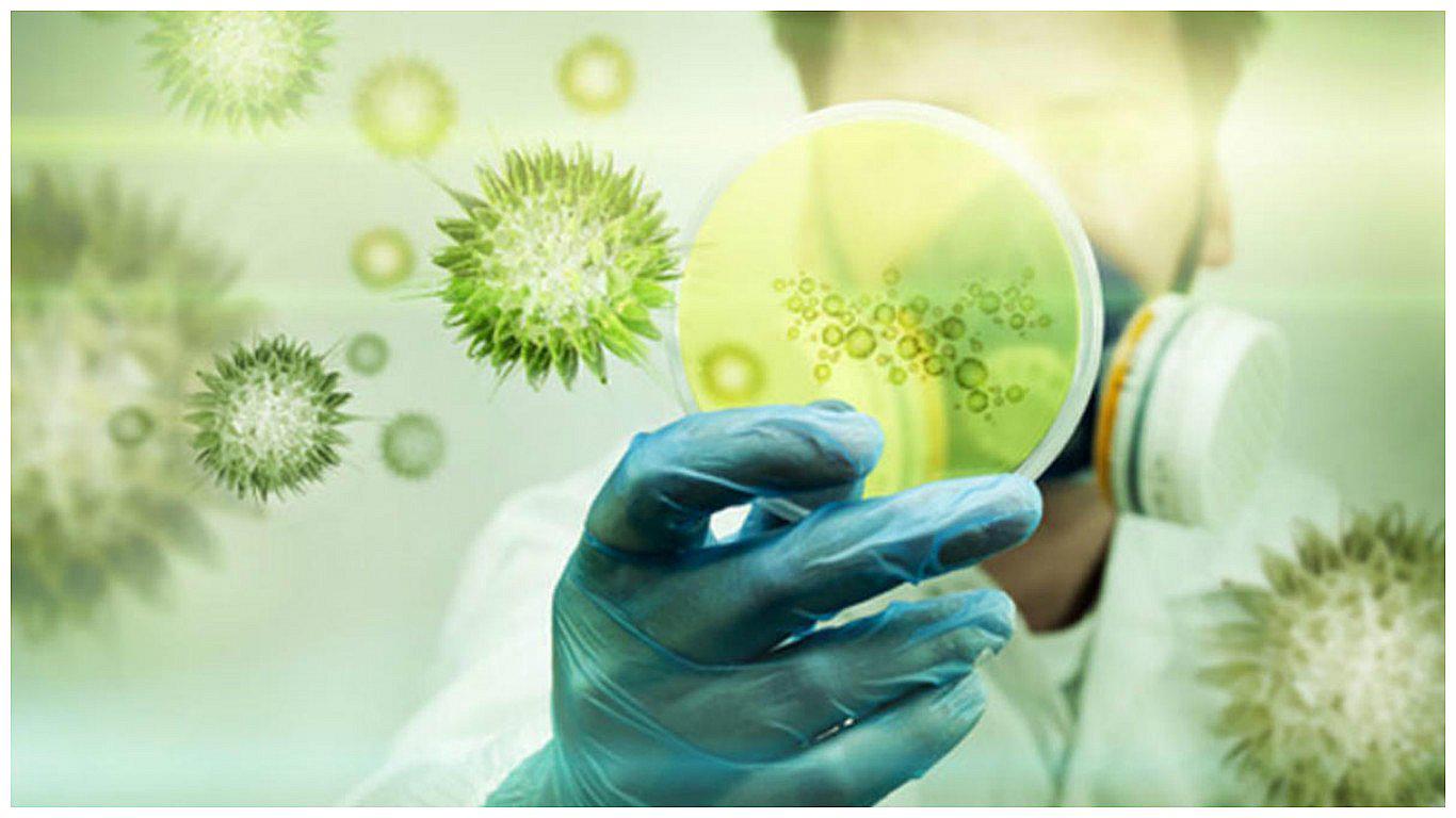 Enfermedades resistentes a medicinas va en aumento ¿cuál es la amenaza?