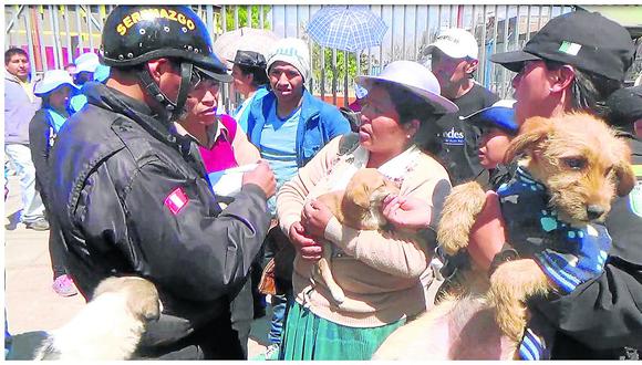 ​Serenos de Huancayo recorren calles buscando hogar para perros abandonados