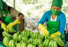 Ministro de Comercio Exterior anuncia que reimpulsará la exportación del banano orgánico de Piura