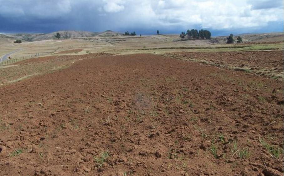 Fenómeno de El Niño: ​Déficit hídrico sigue representando riesgo para los agricultores