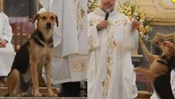 Cura lleva a perros callejeros a sus misas para que sean adoptados 