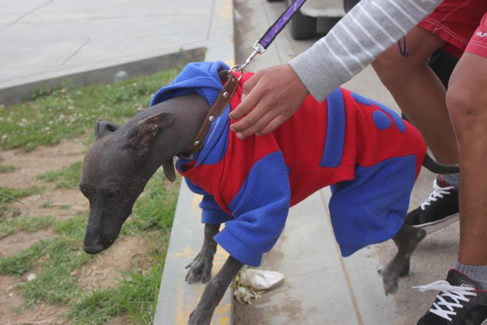 Una competencia  llena de 'amores perros' (FOTOS)