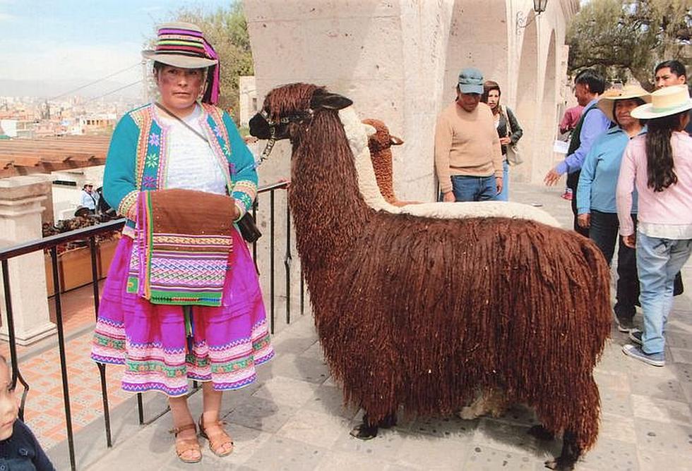 Promoción y rueda de negocios en Alpaca Fiesta (FOTOS)