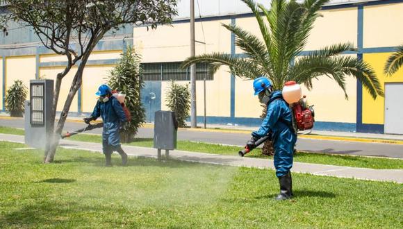 La Municipalidad de Lima indicó que las acciones de desratización, desinsectación y desinfección buscan eliminar posibles plagas de cucarachas, pulgas, garrapatas, roedores, entre otros. (Foto: MML)