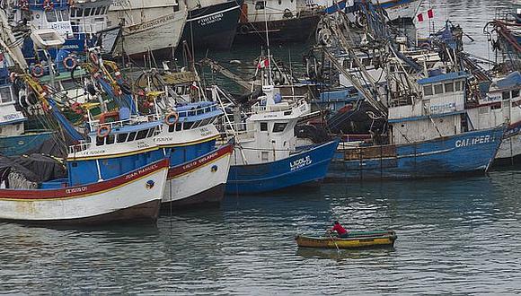 SNP: Industria pesquera pierde competitividad
