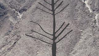 Descubren nuevo geoglifo en forma de árbol en Nasca