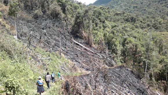 Cocaleros queman bosques para sembrar coca