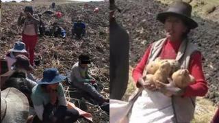 Campesinos de Huancavelica reciben 10 céntimos por 100 kilos de papa y solicitan ayuda del Gobierno