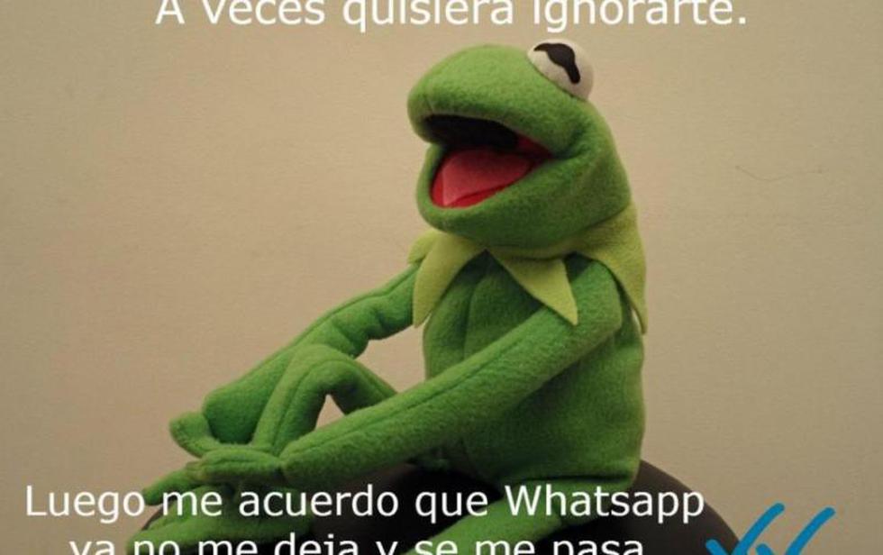 WhatsApp: Divertidos memes tras anuncio de nueva característica