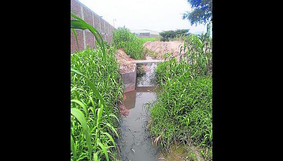 Vecinos se quejan por vertido de aguas servidas en acequia