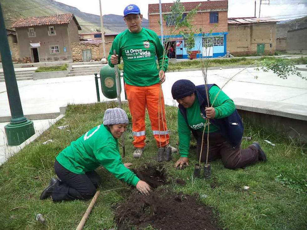 Comuneros y vecinos participan en campaña de reforestación de La Oroya