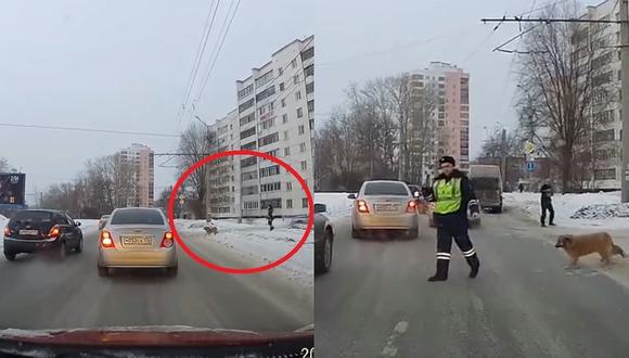 Policía detiene el tránsito vehicular para que perrito cruce la pista (VIDEO)