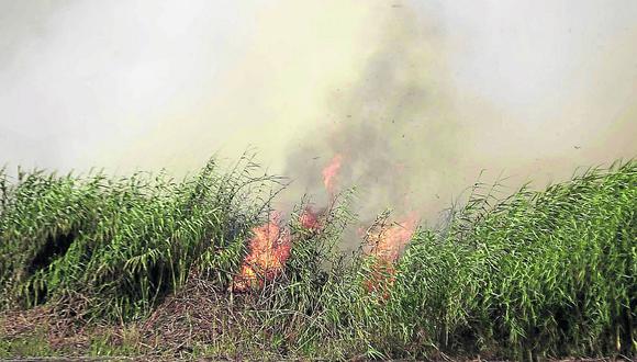 Áncash: Fiscalía inicia pesquisas para hallar responsables de incendio forestal 