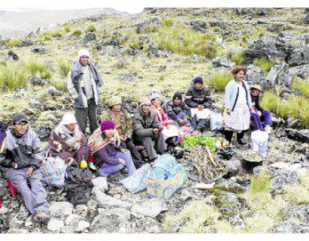 El antes y el ahora de los pagapus