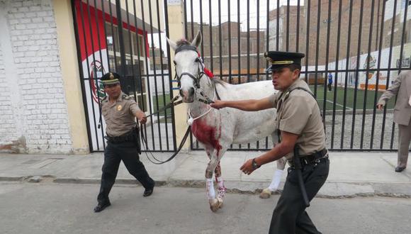 Equinos alborotaron actos cívicos en Chiclayo