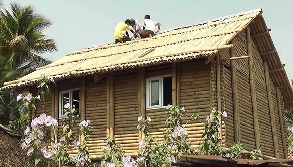 Proponen viviendas de bambú para los damnificados