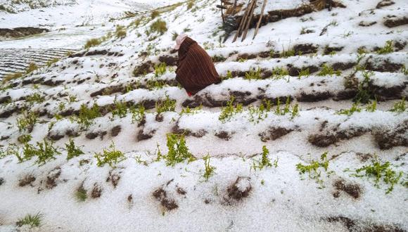Campos de cultivo afectados por clima extremo en localidad altoandina de provincia de Lauricocha/ Foto: Correo