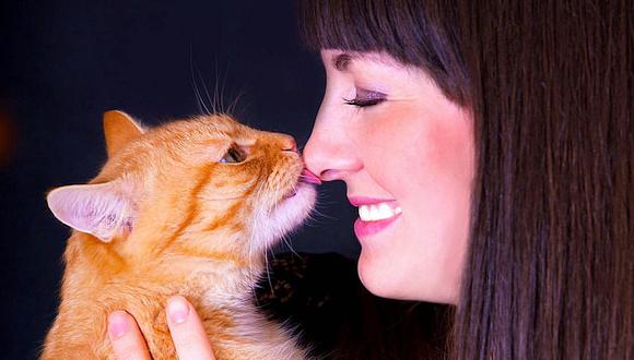 ​¡Cuidado! Darle un beso a tu gato puede provocarte la muerte
