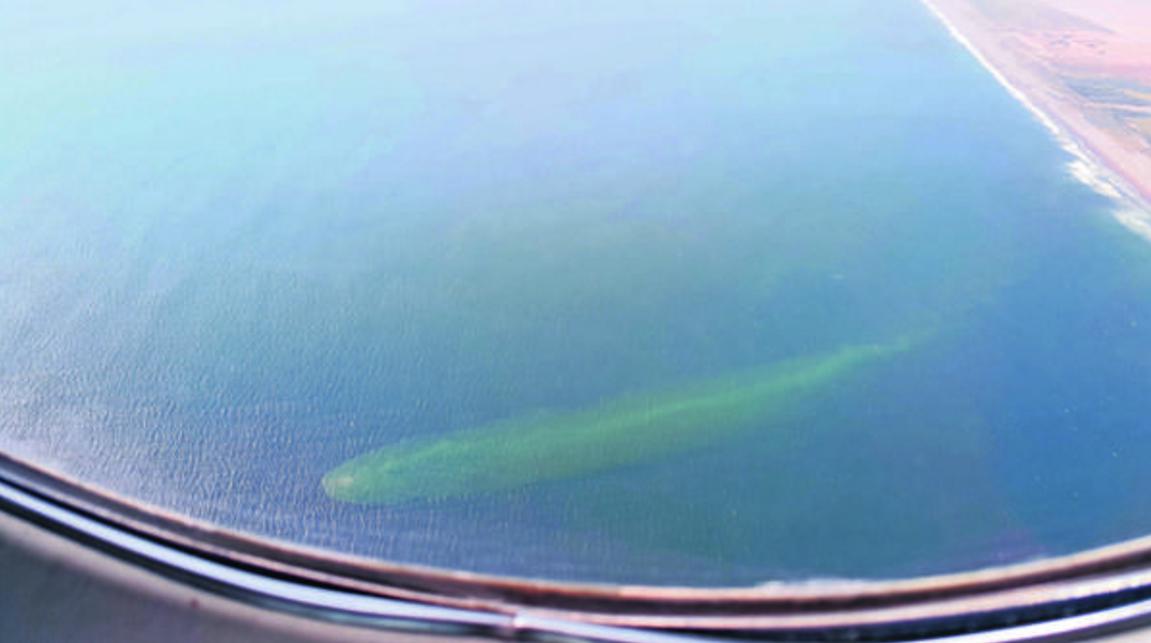 OSNI: descartan que extraña figura en el mar se trate de algún contaminante