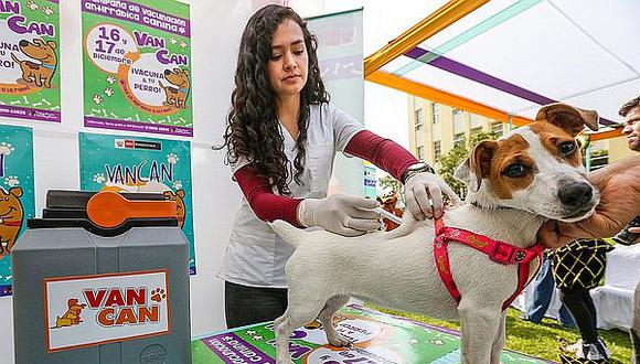 Ministerio de Salud vacunará contra la rabia a un millón de perros este fin de semana (VIDEO)