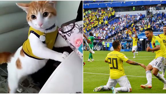 Gato canta 'Goooool' de Colombia y conquista las redes sociales (VIDEO)