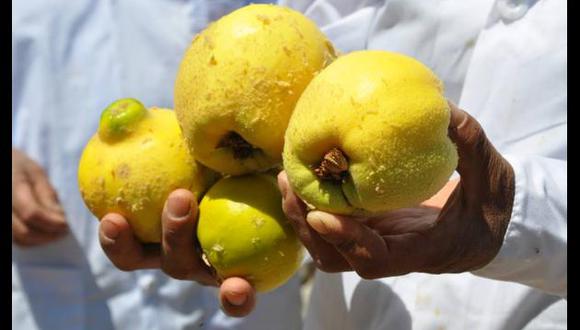 Mistura 2013 ofrece membrillos y manzanas de Huarochirí