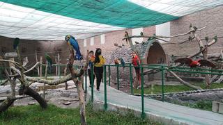 Zoológico Zoo Mundo en Paucarpata abrió  sus puertas