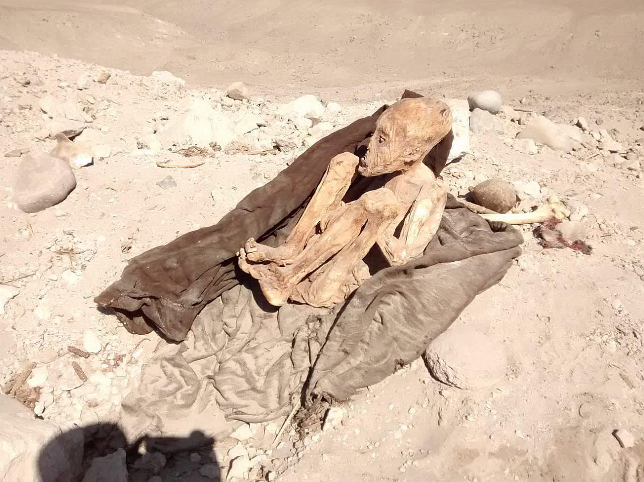 Cultura protege zona arqueológica en Cerro San Antonio