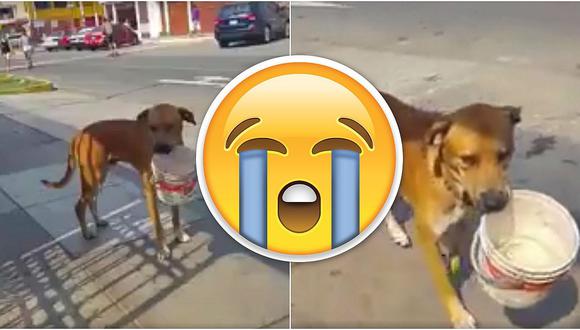 Facebook: Perro también carga su balde con agua en Chorrillos (VIDEO)
