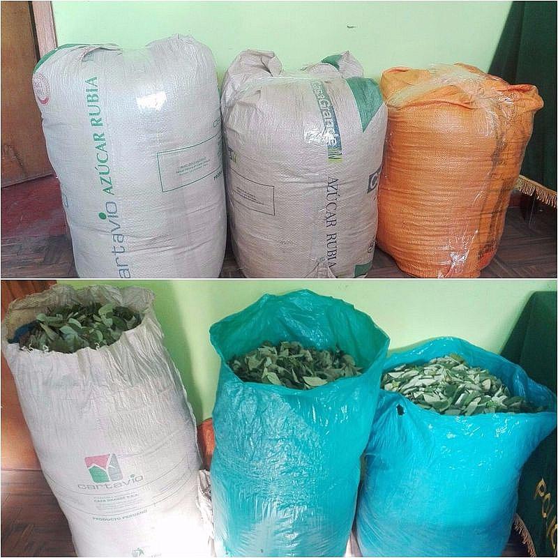 Arequipa: Incautan 105 kilos de hoja de coca en Terminal Terrestre