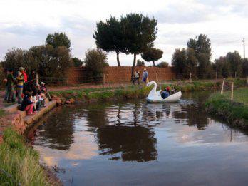 El encanto de Juliaca