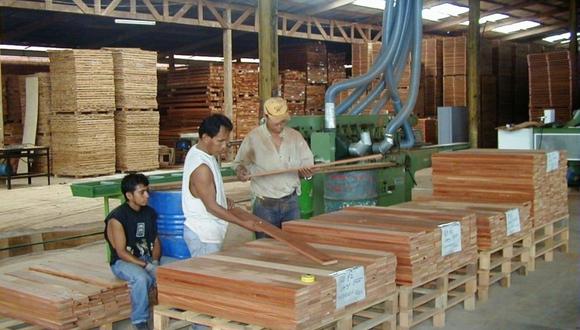 La madera que se utilizará en la fabricación de féretros en Ucayali es de la especie tornillo, la cual fue decomisada a los taladores ilegales. (Foto: ITP Ucayali)