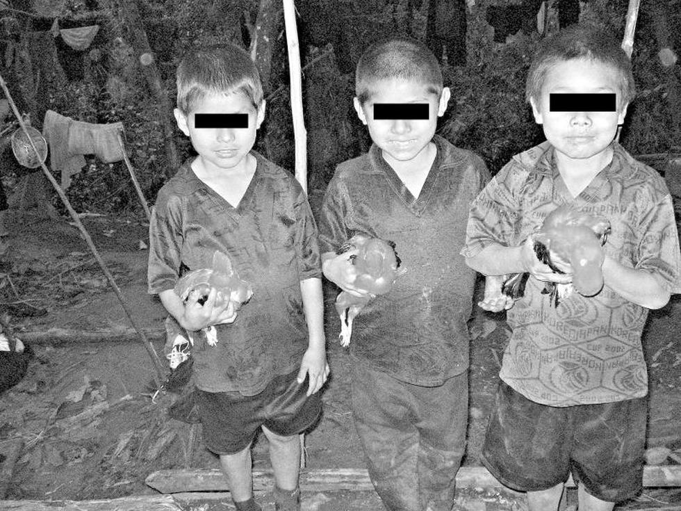 Los futuros guerrilleros de 