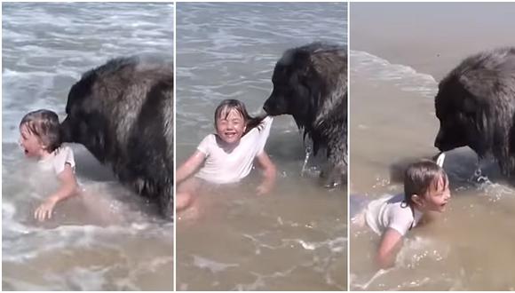 Perrito "rescata" a una niña de ser arrastrada por las olas en Francia (VIDEO)