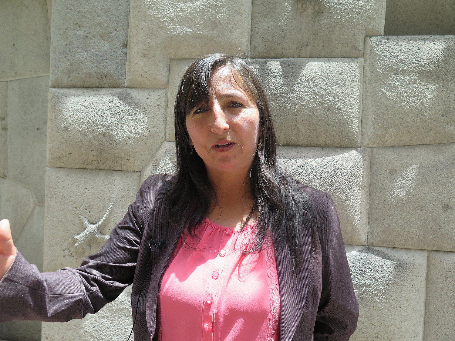 Proyecto para reducir anemia y desnutrición recién es retomado